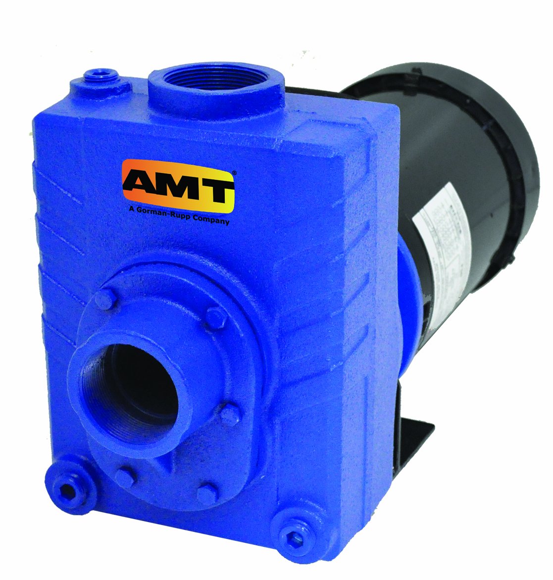 2766-95 AMT Pumps