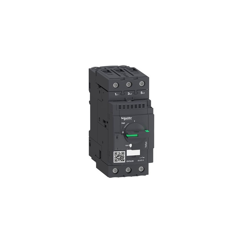 GV3L65 Schneider Electric